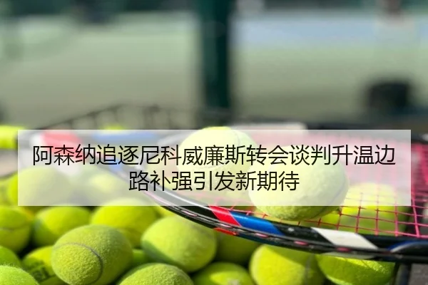 阿森纳追逐尼科威廉斯转会谈判升温边路补强引发新期待